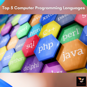 Read more about the article Computer Programming Languages – Top 5