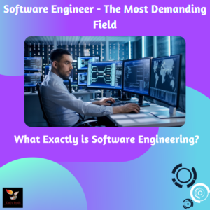 Read more about the article Software Engineer – The Most Demanding Field