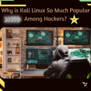 Read more about the article Kali Linux – The Paradise For Hackers