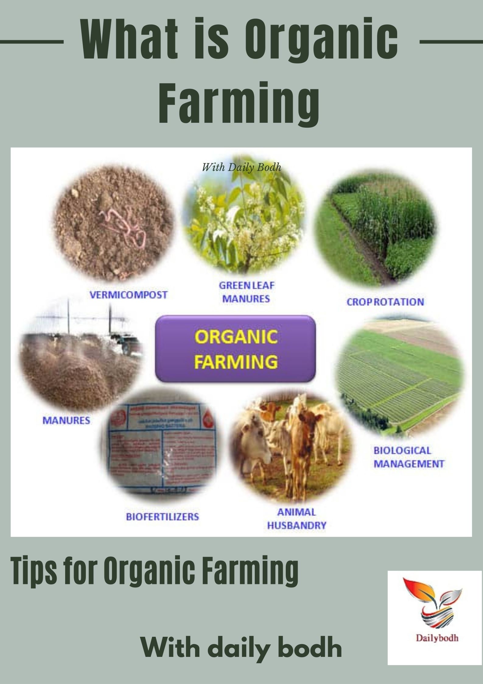 Tips for Organic Farming